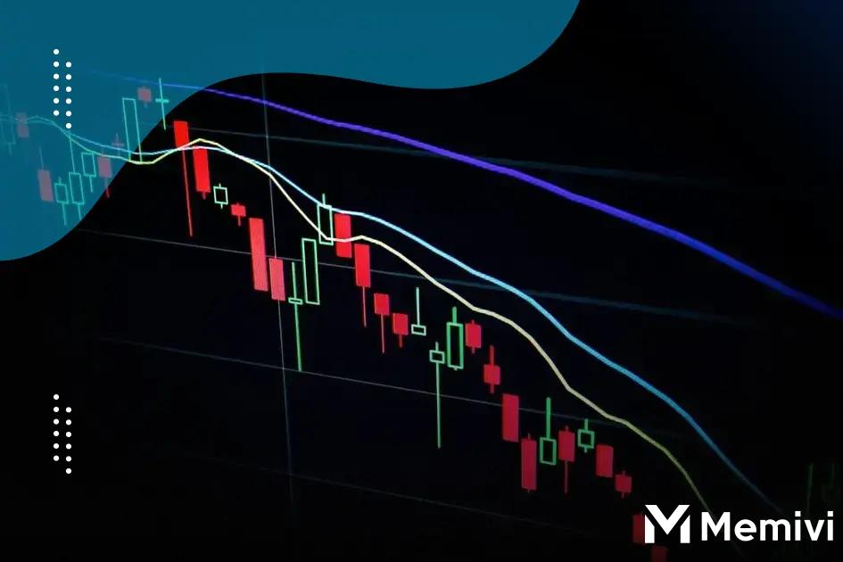 Understanding Different Investor Profiles